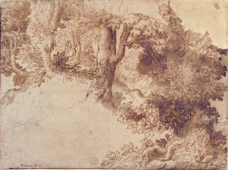 Woodland Scene with Light Sketch of a Madonna and Child MET 80.3.389