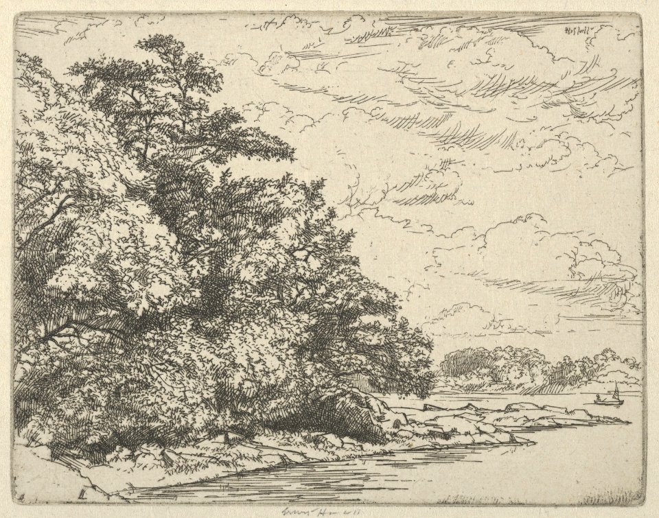Wooded Point MET DP846557