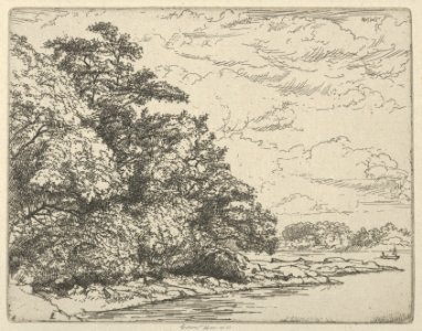 Wooded Point MET DP846557