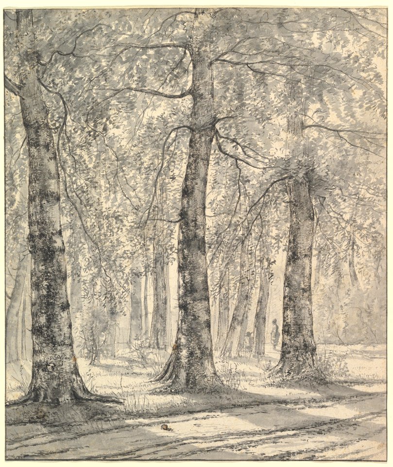 Woodland Scene MET DP820053