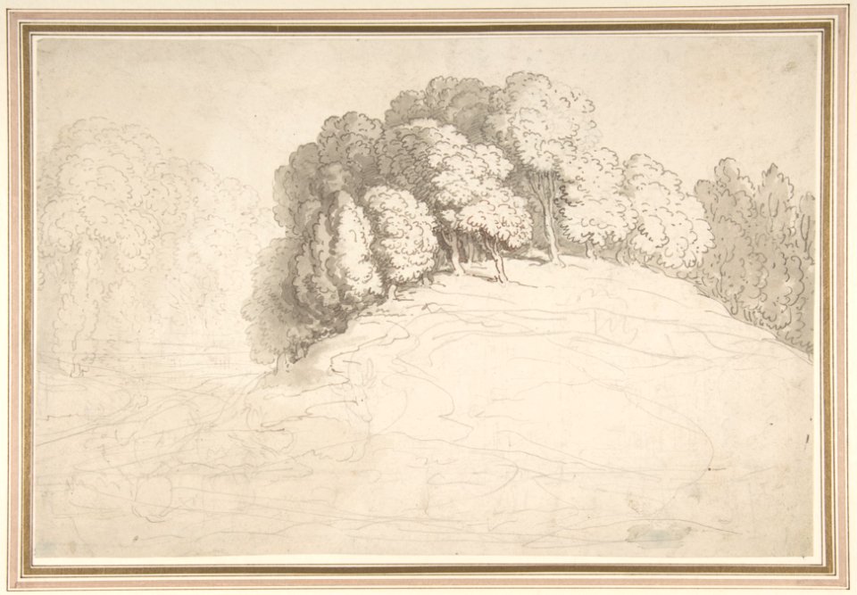 Wooded hillside with deer MET DP805051
