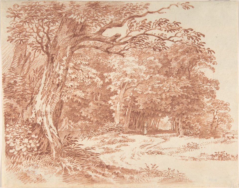 Wooded Landscape MET DP804700
