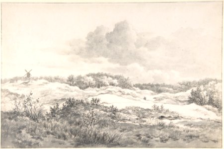 Wooded Dune Landscape near Haarlem, with Windmill and a Pair of Figures MET DP800939
