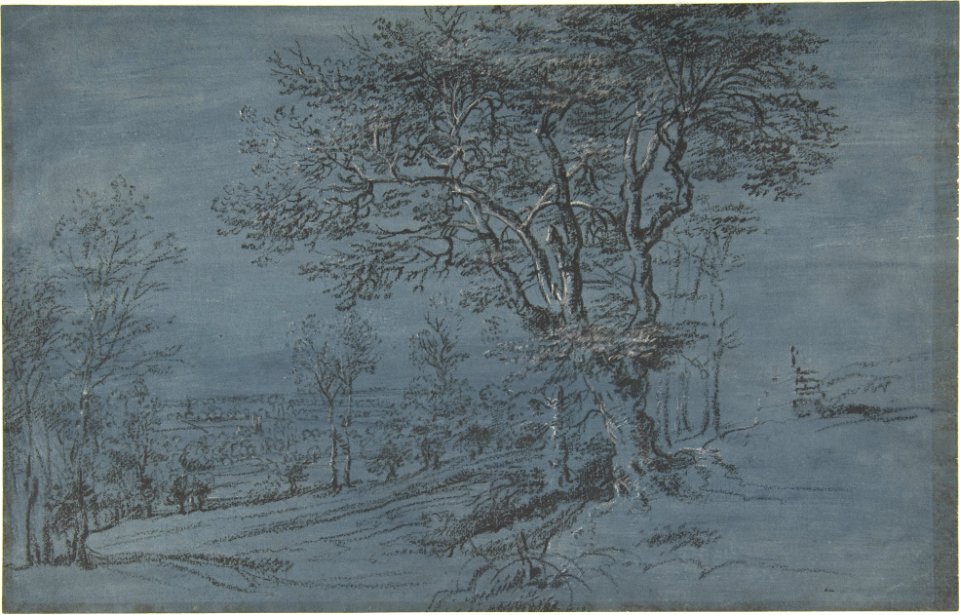 Wooded Landscape with a House by a River MET DP802357