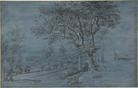 Wooded Landscape with a House by a River MET DP802357