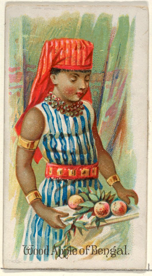 Wood Apple of Bengal, from the Fruits series (N12) for Allen & Ginter Cigarettes Brands MET DP834651