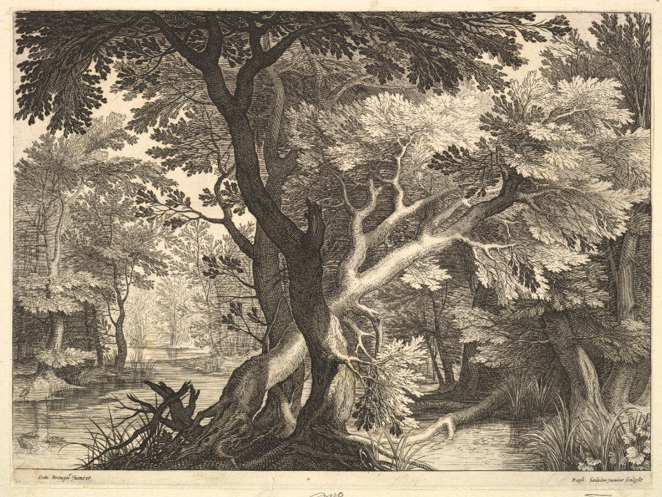 Wooded landscape MET DP825783
