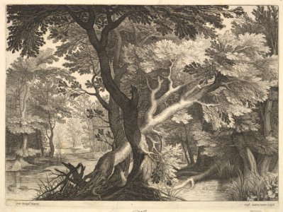 Wooded landscape MET DP825783