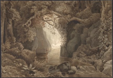 Wooded Landscape with a Creek MET DP804150