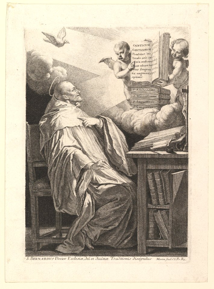 Le petit saint Bernard MET DP819812