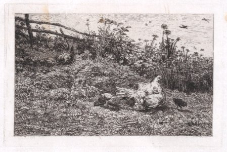 Le Poule et ses Poussins Met DP887822