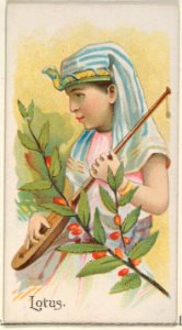 Lotus, from the Fruits series (N12) for Allen & Ginter Cigarettes Brands MET DP834627