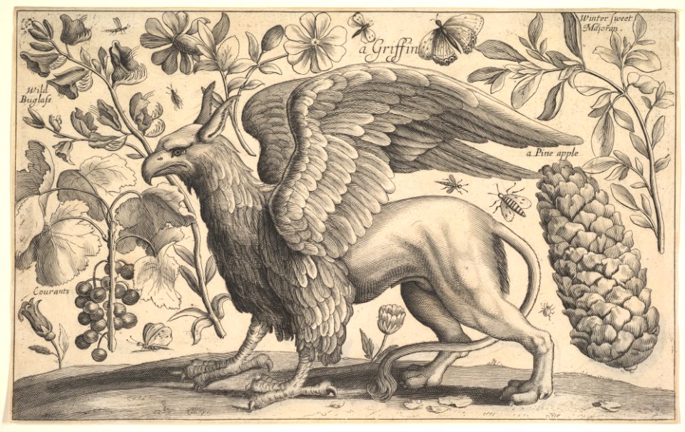 A Griffin MET DP823908