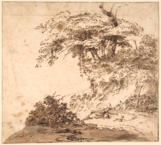 A Group a Trees MET DP802097