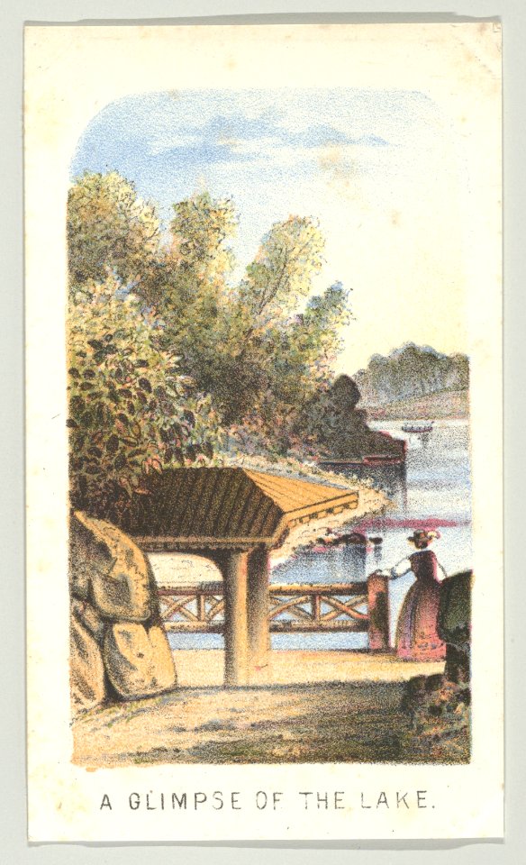 A Glimpse of the Lake, from the series, Views in Central Park, New York, Part 2 MET DP849383