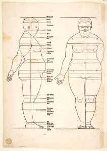 IIllustration from Dürers Vier Bucher von Menslicher Proportion, Nuremberg, 1528 MET DP816818