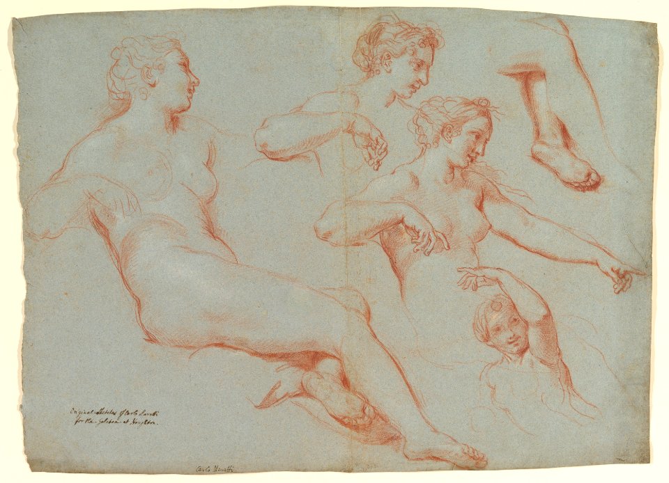 Four Studies of Recumbent Female Nudes (Galatea) MET DP820506