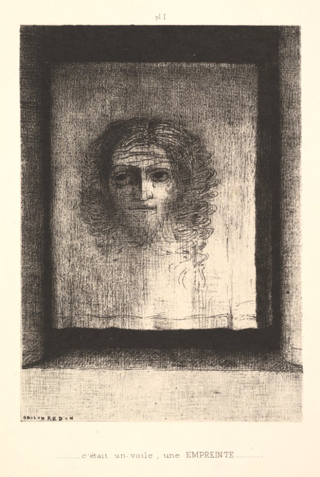 A Veil, a Printed Image MET DP824895