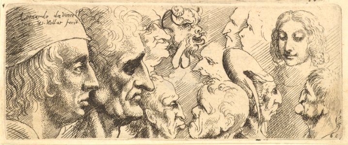 A variety of heads MET DP823741