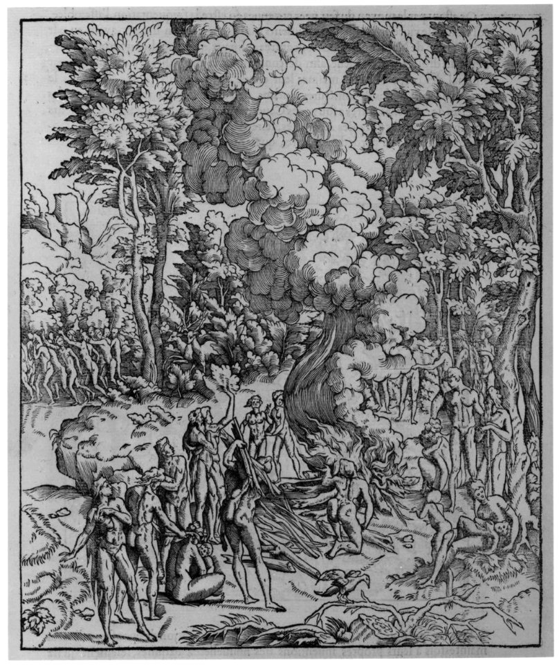 Architecture, ou, Art de bien bastir de Marc Vitruve Pollion, autheur romain antique; mis de latin en francoys par Ian Martin MET mm74820