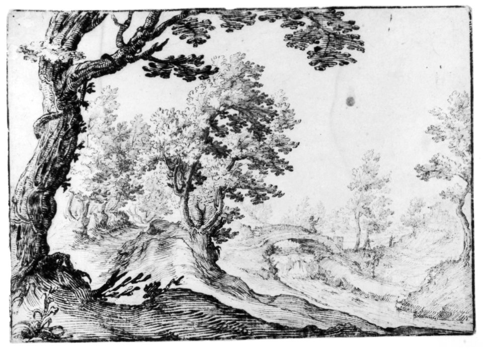 Landscape MET 271519