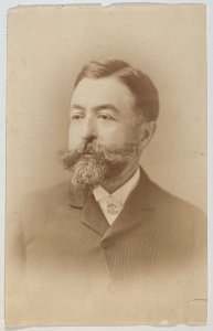 Bust-length Portrait of Thomas Nast MET DP860320