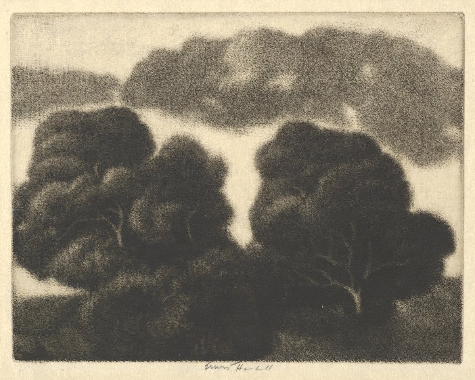 Hill of Oaks MET DP845477