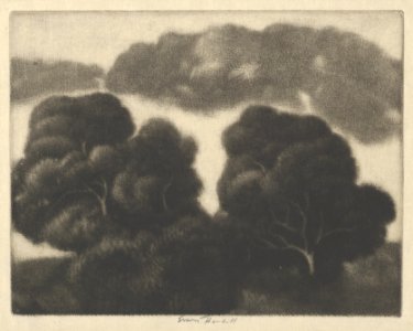 Hill of Oaks MET DP845477