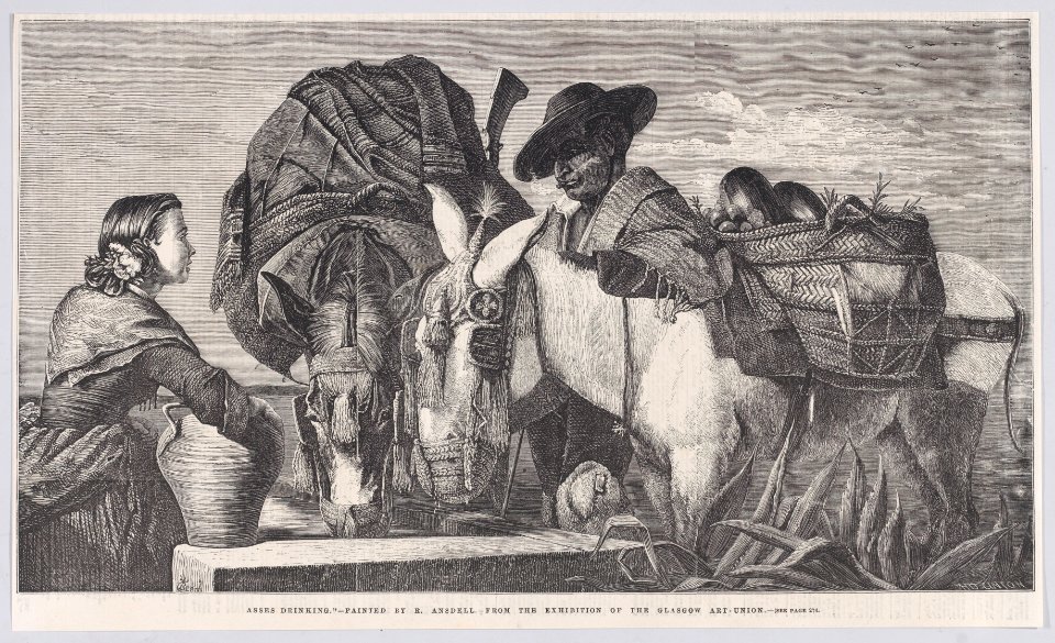 Asses Drinking, from "Illustrated London News" Met DP888821