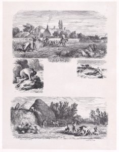 August from Album of Rustic Subjects Met DP888913