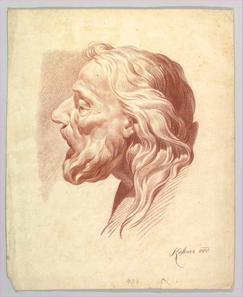 Head of a Bearded Old Man in Profile to the Right MET DP819693