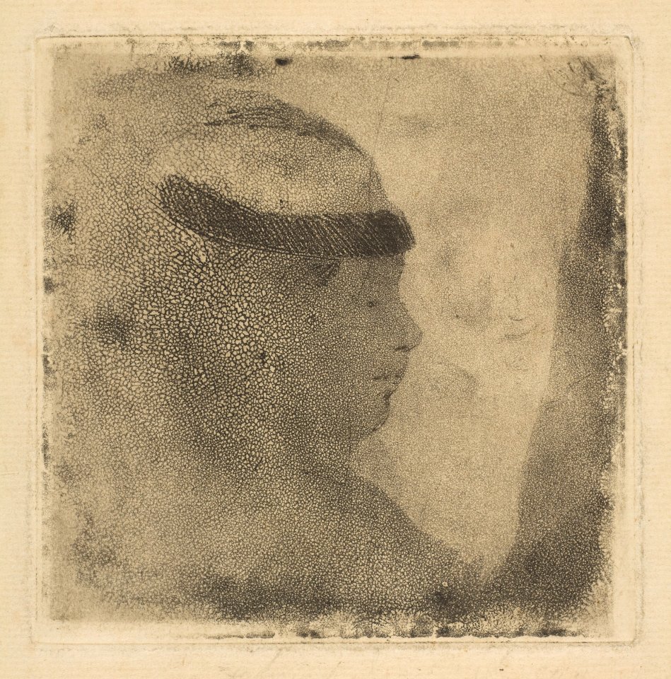 Head of a Woman in Profile MET DP815811