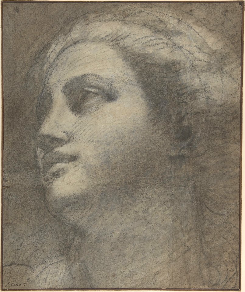 Head of a Woman Looking to Upper Left. MET DP807126