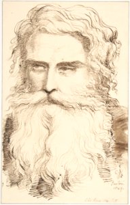 Head of a Bearded Old Man MET DP804403