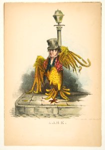 Lark, from The Comic Natural History of the Human Race MET DP813077