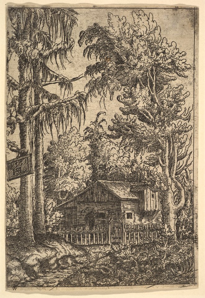 Cabin Among Trees MET DP823094