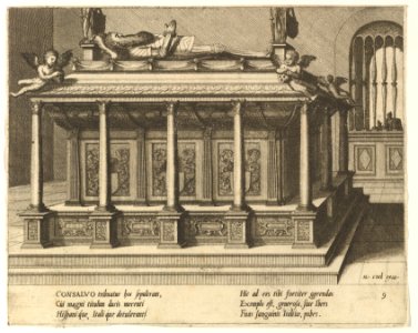 Cœnotaphiorum (9) MET DP820853