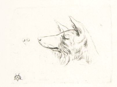 Head of a Dog from New Holland MET DP813214
