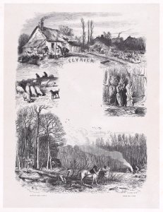 February from Album of Rustic Subjects Met DP888907