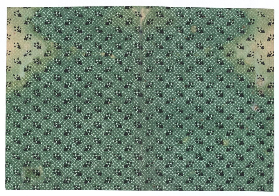 Book cover with overall dot design with bouquets Met DP886653