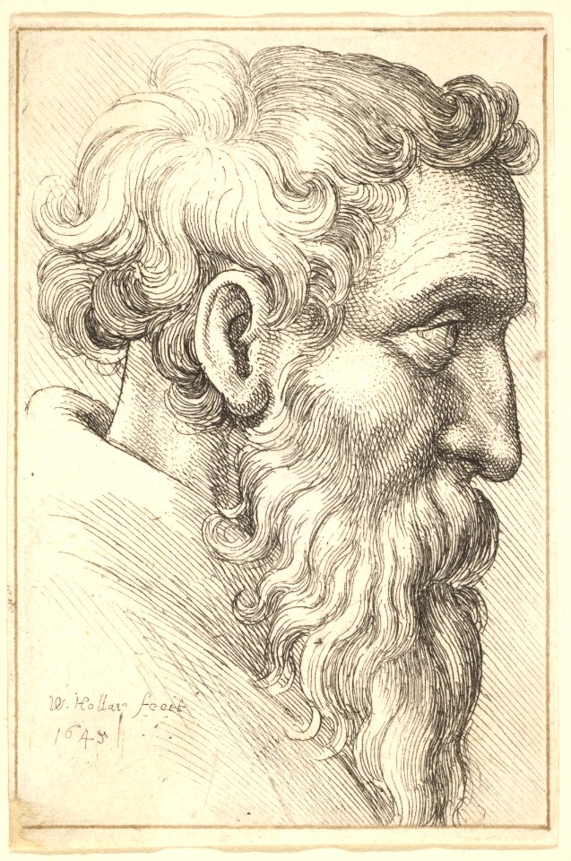 Bearded old man in profile to right MET DP823696