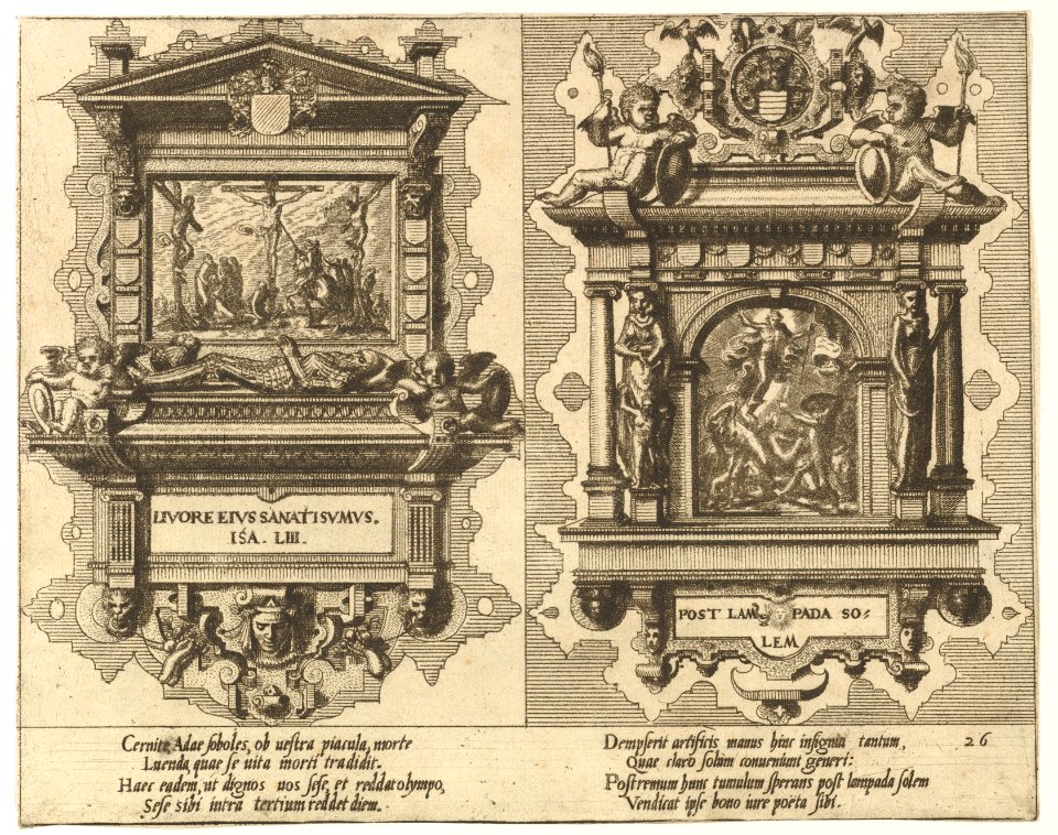 Cœnotaphiorum (26) MET DP820832