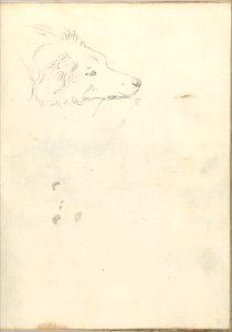 Head of a Dog (Smaller Italian Sketchbook, leaf 35 recto) MET DP269443