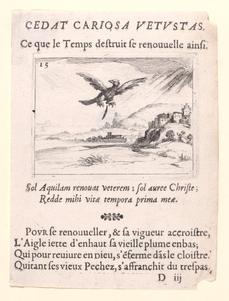 An Eagle Dropping an Old Feather Met DP890749