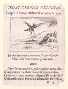 An Eagle Dropping an Old Feather Met DP890749