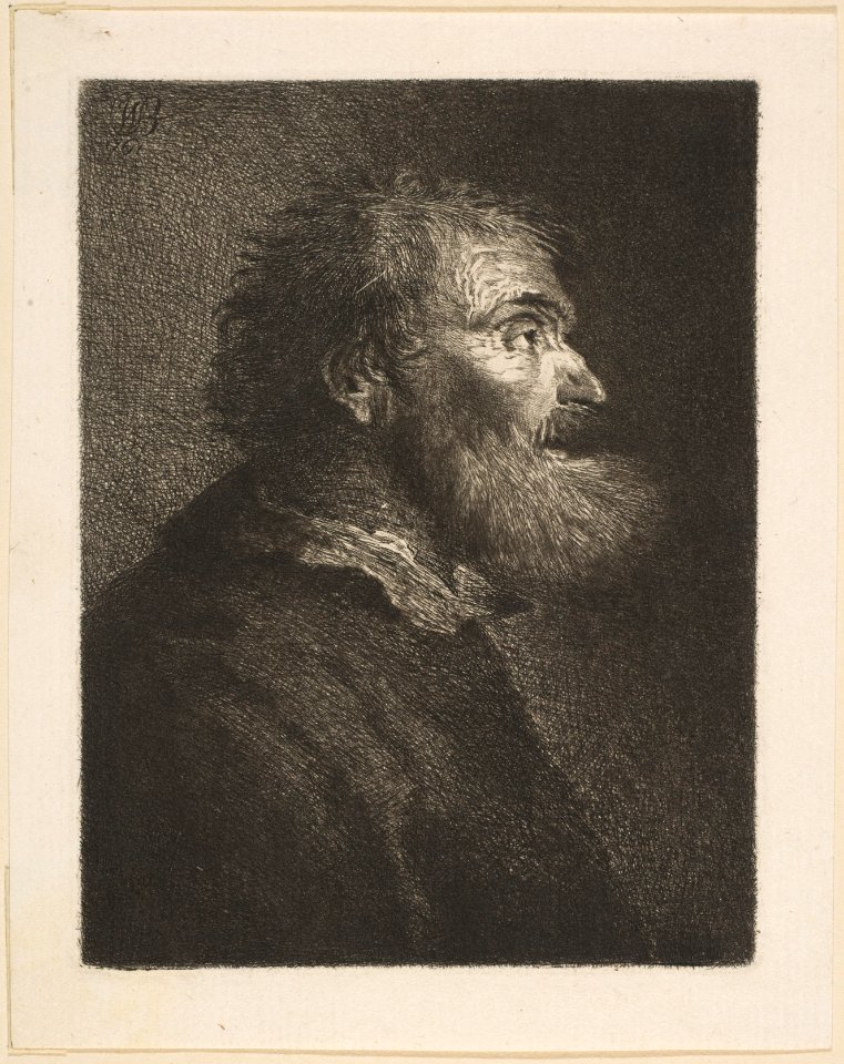 An Old Man in Profile MET DP818335