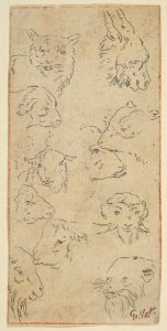 Study of animal heads MET DP815037
