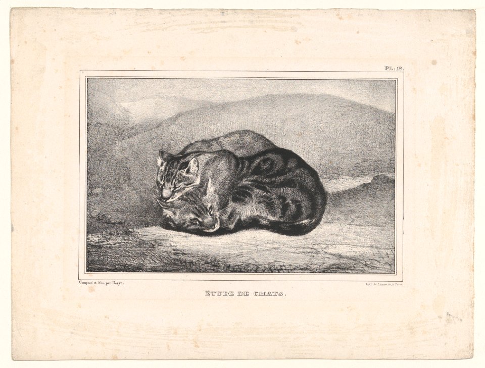 Study of Cats MET DP874145