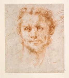 Study of a Man's Head MET DR55