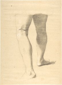 Study of Legs MET DP804713